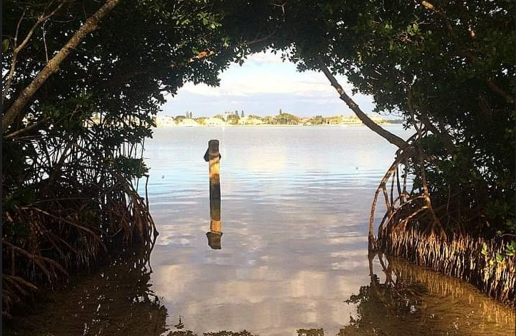 kayak lido key